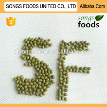 Dry High Quality Bulk Myanmar Green Mung Beans With a Good Picture